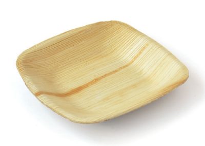 areca-leaf-square-plate